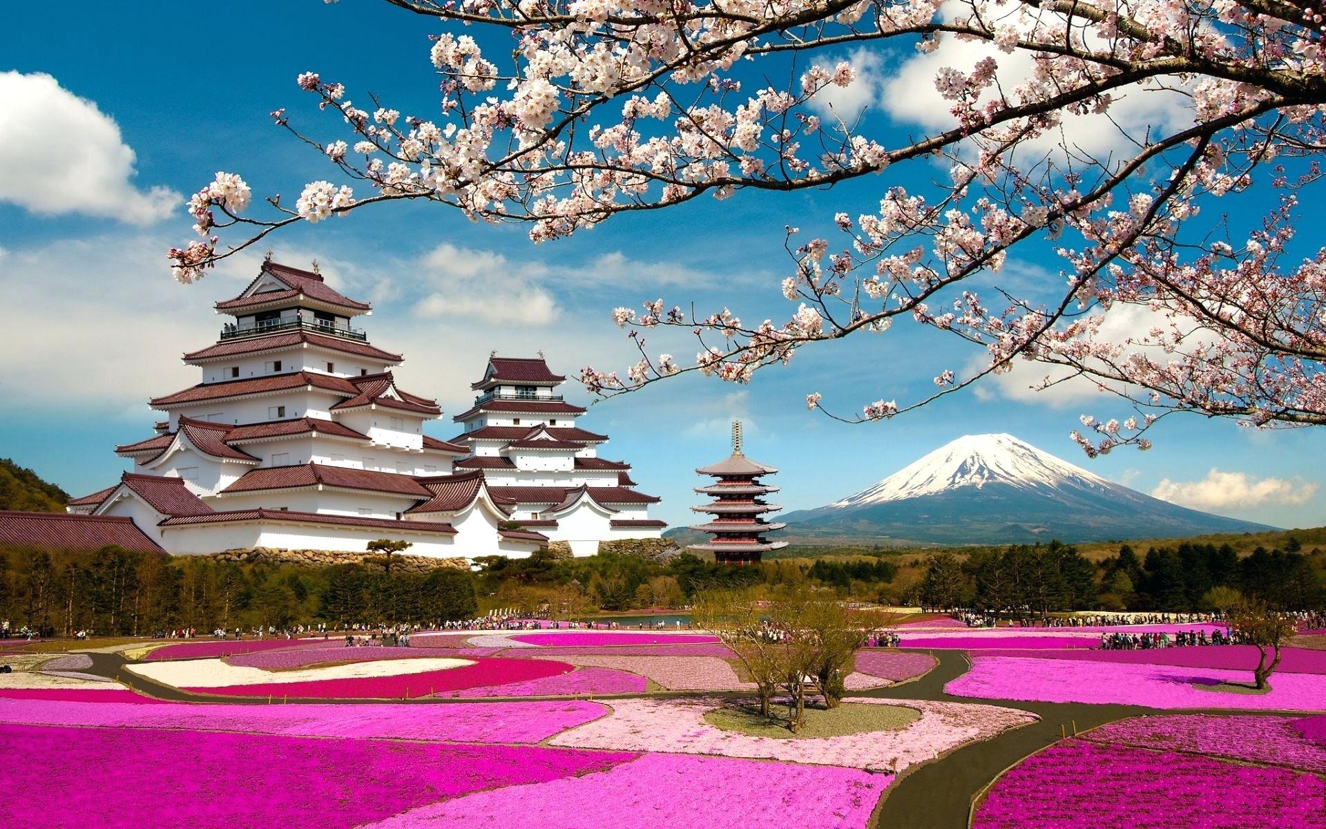 Japan landscape